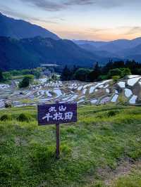 【三重 熊野市】三重の絶景スポット🌿丸山千枚田🌿