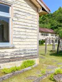 【三重 尾鷲市】三重県にある綺麗すぎる知る人ぞ知る漁港