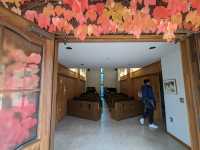日本北海道-上萬株由綠轉紅的可愛波波草：由仁花園 Yuni Garden