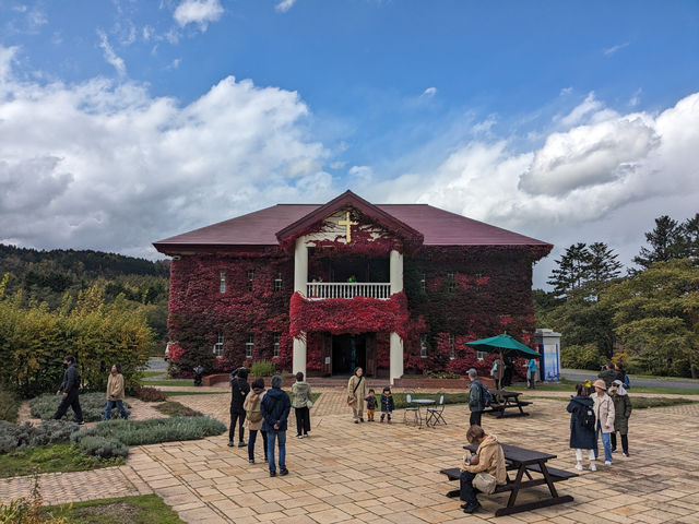 日本北海道-上萬株由綠轉紅的可愛波波草：由仁花園 Yuni Garden