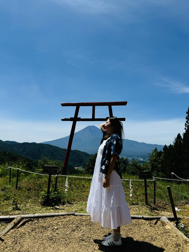 富士山自駕遊 🗻 尋找隱世秘景！