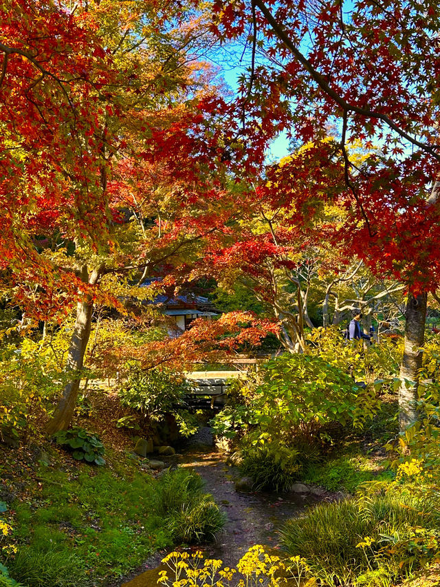〜神奈川県〜横浜の小京都！秋の三溪園