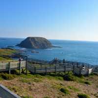 Seaside Serenity: Cowes, Philip Island's Hidden Gem