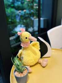Wild Duck Cafe