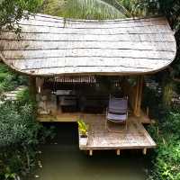 สวนกู เดอะคาเฟ่ - SuanGuu the Cafe