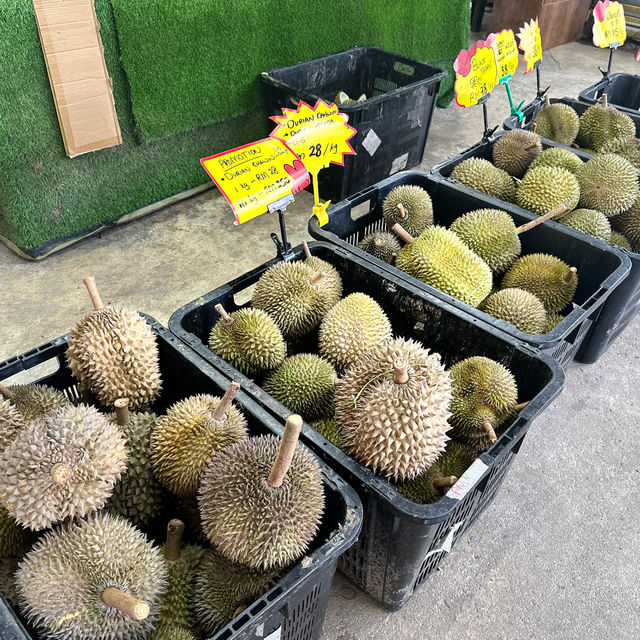 檳城之行:一段充滿人情味之旅行 檳城之行:一段充滿人情味之旅行