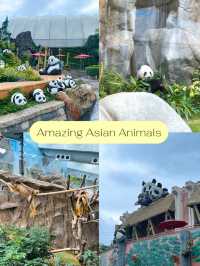 10 ไฮไลท์ในสวนสนุกระดับโลก Ocean Park HongKong 🎠