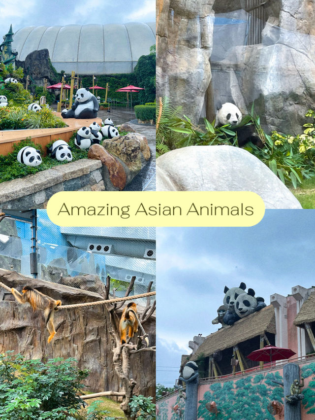 10 ไฮไลท์ในสวนสนุกระดับโลก Ocean Park HongKong 🎠