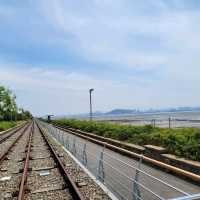 去永宗島無理由唔踩單車