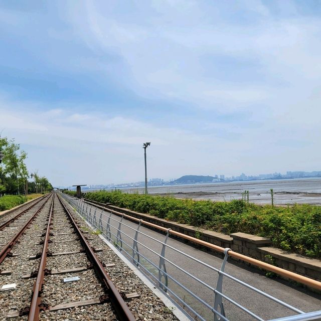 去永宗島無理由唔踩單車