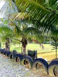 Cute Farm Animals at Mu Mu Farm 