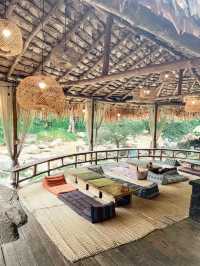🌿Stay Wild & Café ที่พักและคาเฟ่ริมลำธารเชียงใหม่