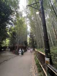 【京阪神五至七日遊】貓🐱風列車、合掌村、清水寺、心齋橋購物，穿和服遊京都