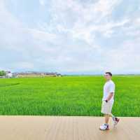 Dali: A Perfect Blend of History and Nature!