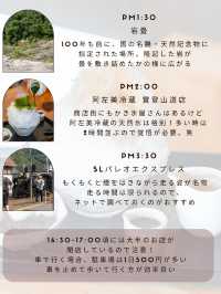 【埼玉県/長瀞町】車なし日帰りで楽しむ長瀞旅