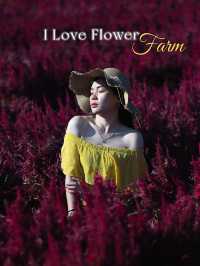 I Love Flower Farm สวนดอกไม้เชียงใหม่