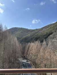대전 출렁다리 추천🩶🩵