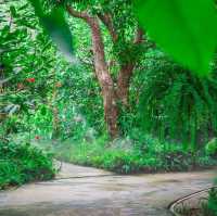  สวนอาหารชลธาร กำแพงแสน