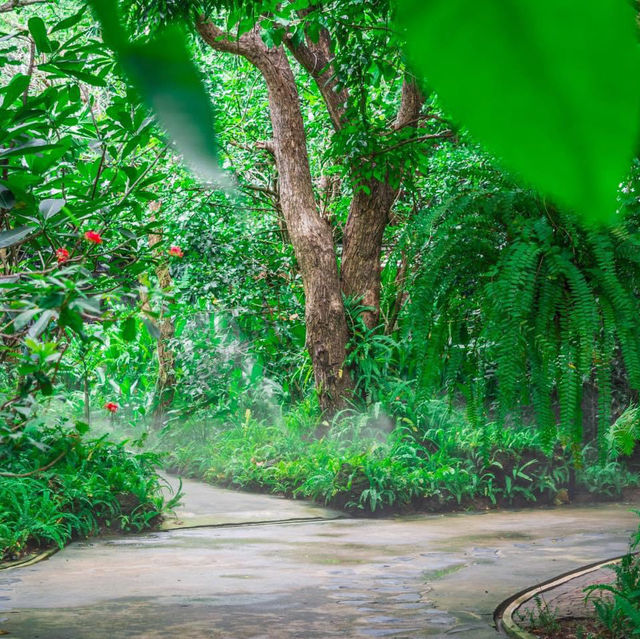  สวนอาหารชลธาร กำแพงแสน