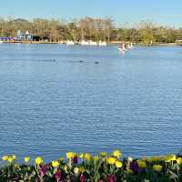 City Park: New Orleans’ Green Oasis