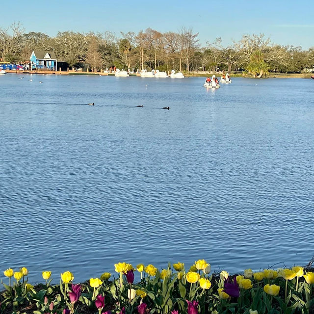 City Park: New Orleans’ Green Oasis