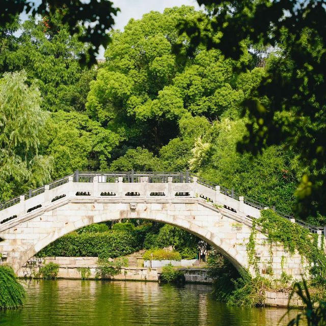 澱山湖風景區：湖光山色