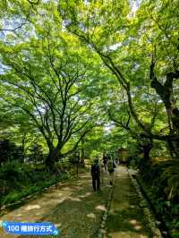 日本京都-參天竹林密境的嵐山之美