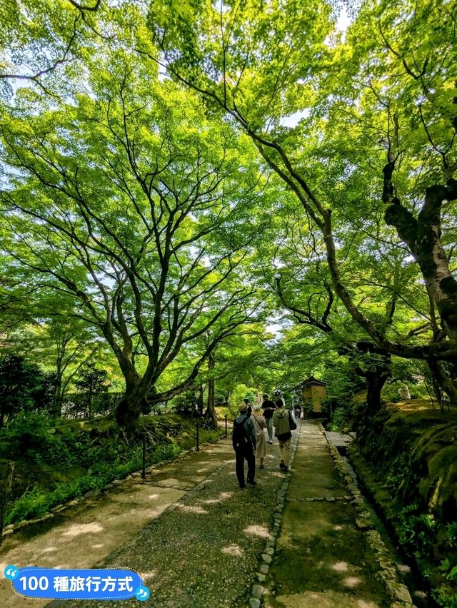 日本京都-參天竹林密境的嵐山之美