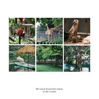 【濟南動物園】優美環境動物世界