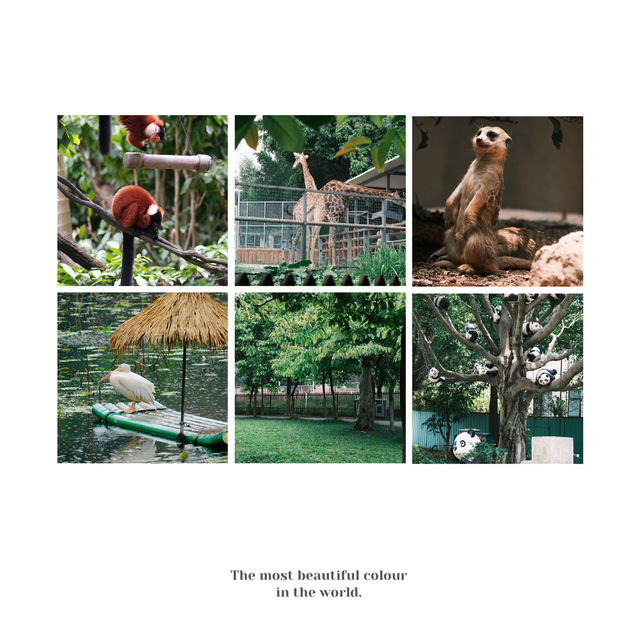 【濟南動物園】優美環境動物世界 【濟南動物園】優美環境動物世界