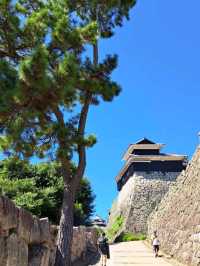 【松山城:愛媛県松山市】松山市のシンボル!!132mの勝山という山の上にあるお城🏯