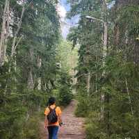 Hiking in Nuuksio National Park