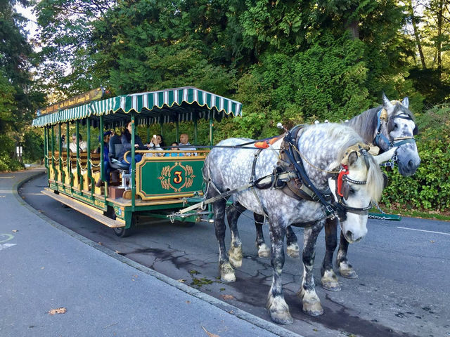 斯坦利公園-單車遊飽覽沿途海灣、樹林、大橋與大自然美景