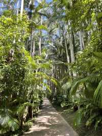 沖縄・東南植物楽園