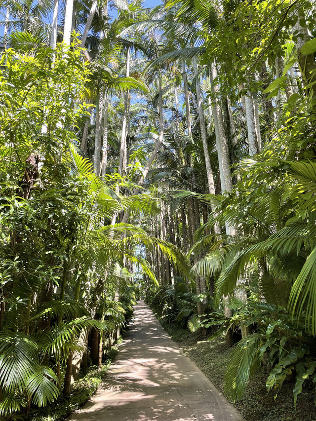 沖縄・東南植物楽園