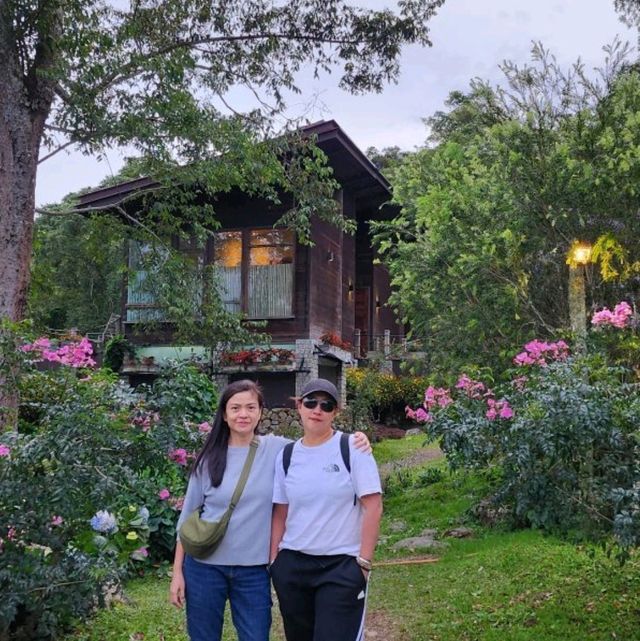 Spring Garden Kundasang, A Slice of Nature's Paradise