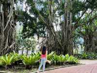 Finding Tranquility: A Serene Escape at KLCC Park in the Heart of Kuala Lumpur