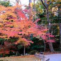 🍁 金澤兼六園:打卡紅葉仙境,感受江戶風情