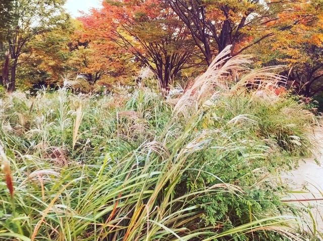 遠離繁忙市中心的好去處！