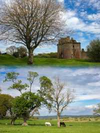 Spring Serenity: Relaxing on the Meadow at Caerlaverock Castle