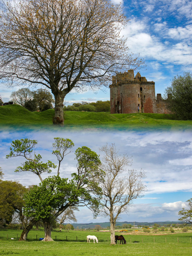 Spring Serenity: Relaxing on the Meadow at Caerlaverock Castle