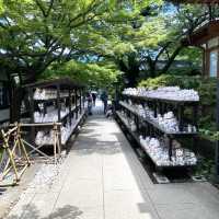 日本ㅣ東京ㅣ豪德寺ㅣ達願千貓神社/招財貓史祖
