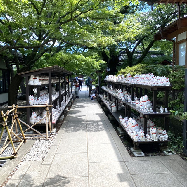 日本ㅣ東京ㅣ豪德寺ㅣ達願千貓神社/招財貓史祖