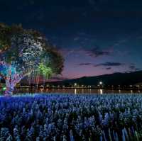 2024清邁花卉節