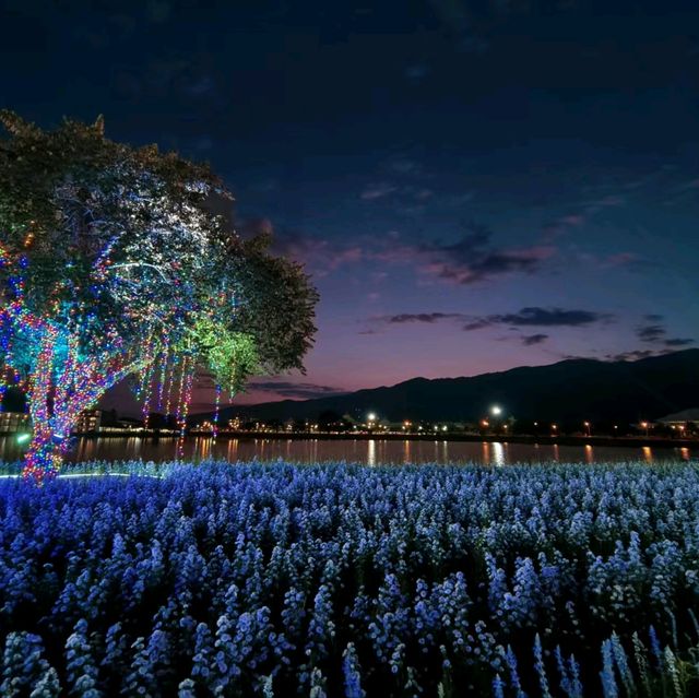 2024清邁花卉節