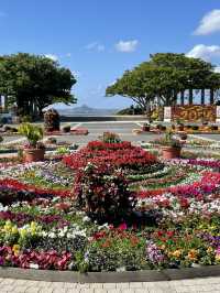 【沖縄】本部町  年間を通して亜熱帯の花々や植物を楽しめる植物園