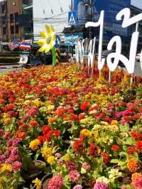 CHIANGMAI FLOWER FESTIVAL 