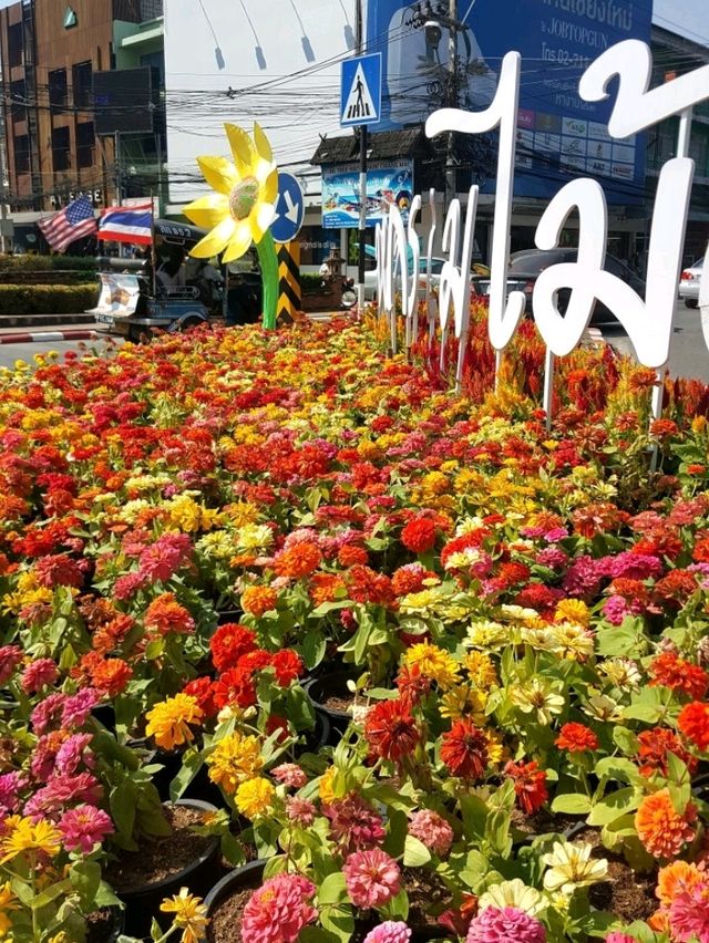 CHIANGMAI FLOWER FESTIVAL 