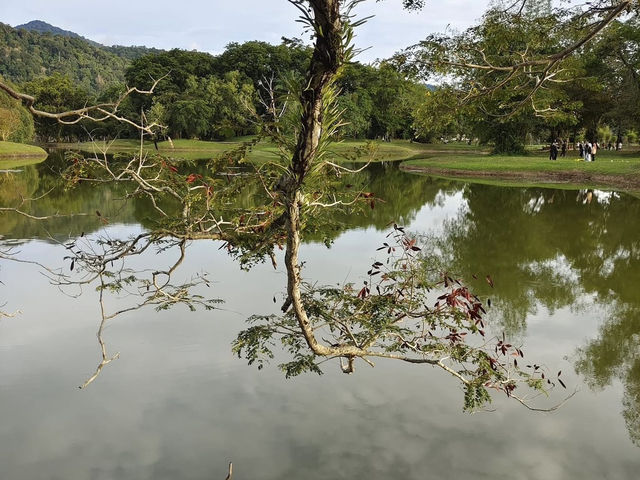 Taman Tasik Taiping