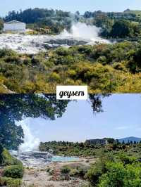 🇳🇿 Whakarewarewa Thermal Valley
